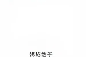剧组餐费报销单据封面，票据与印章排列